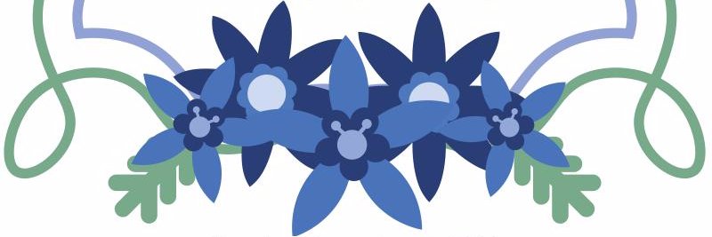 PlnuD's profile banner image