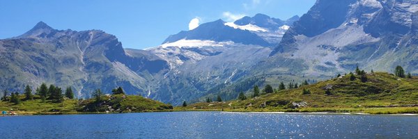 Alpenweerman Profile Banner