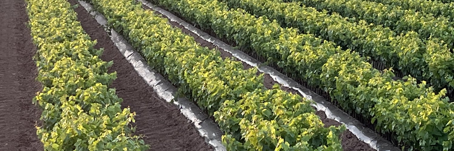 Viveros Barber banner