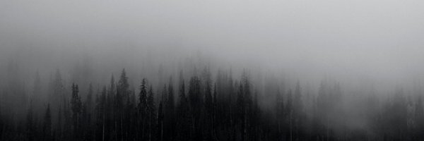gothfemme Profile Banner