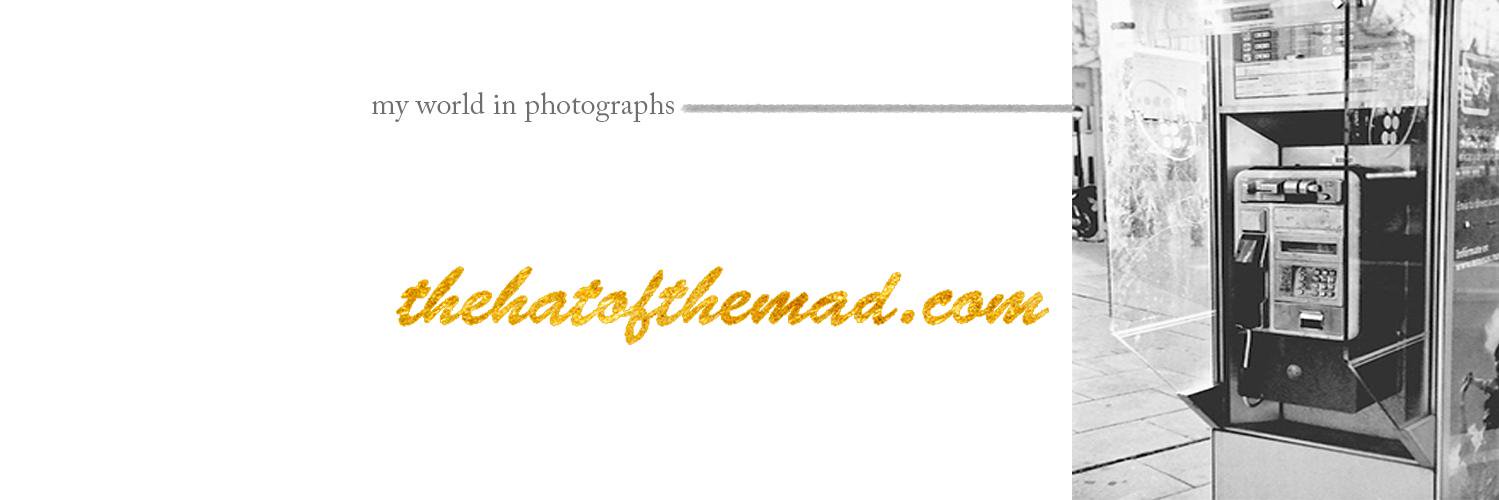 rach_cortes's profile banner image