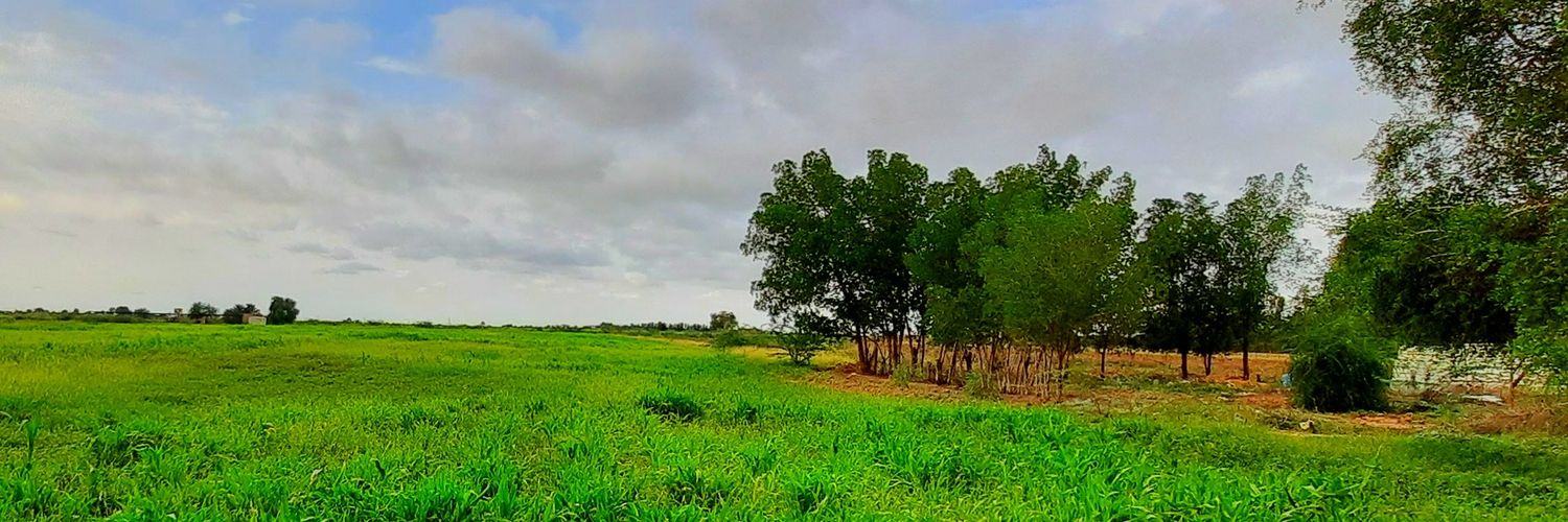 Alrizeagi's profile banner image