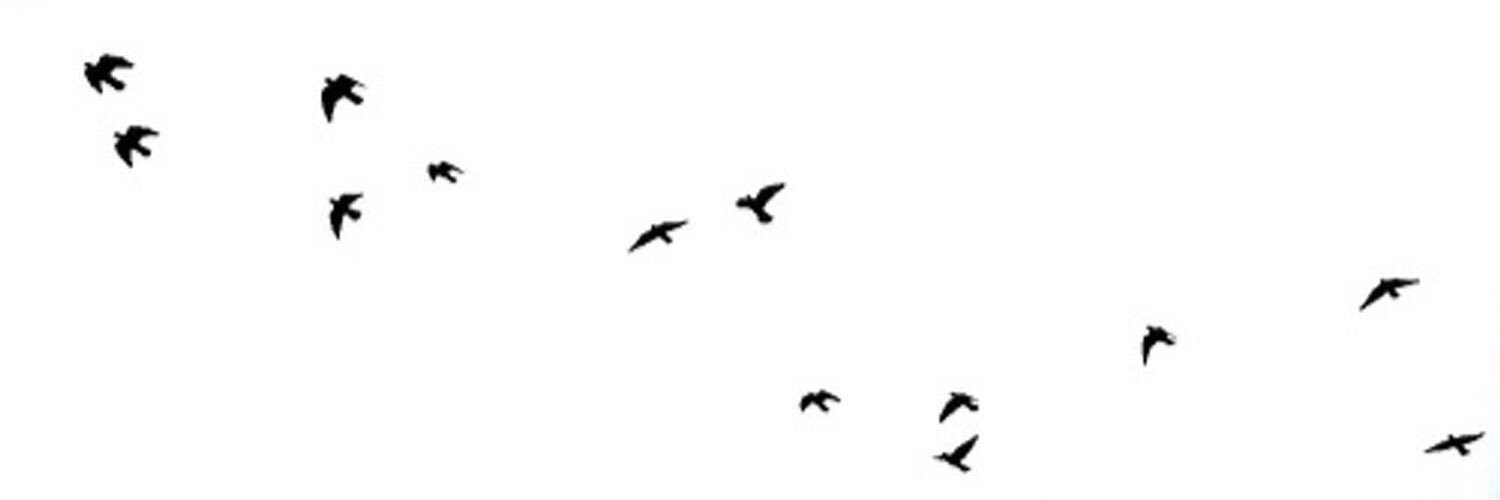 atinsha_'s profile banner image