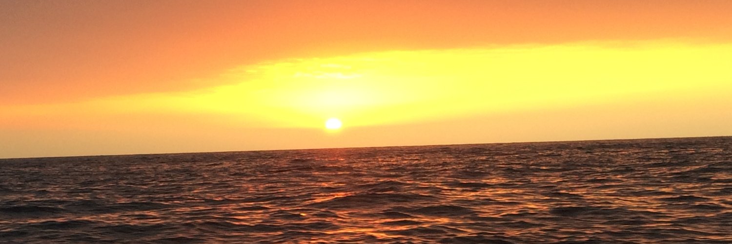polly_goss's profile banner image