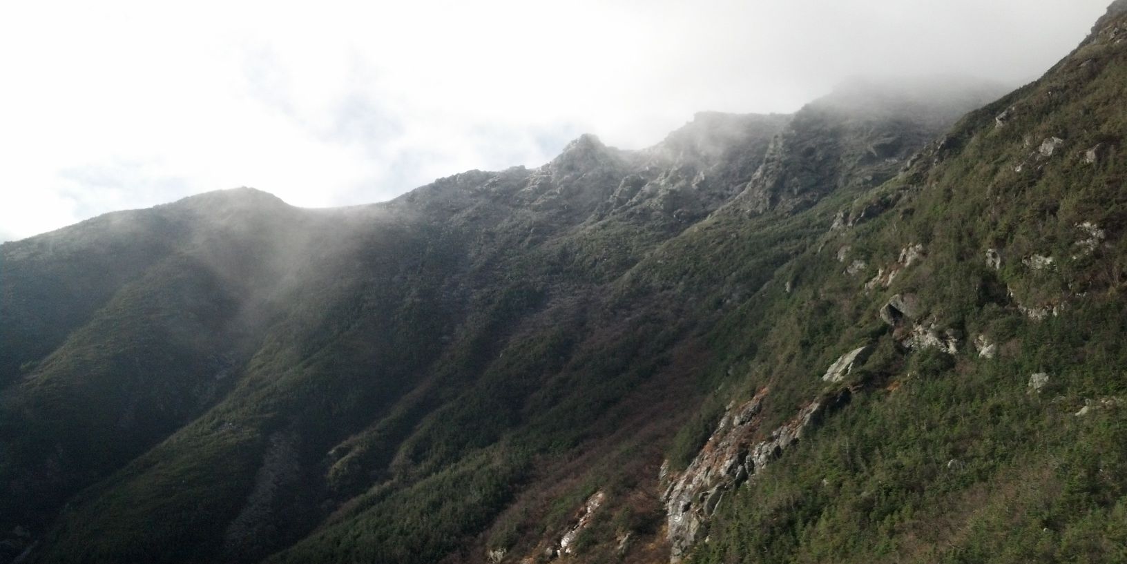 Rich Knipping banner