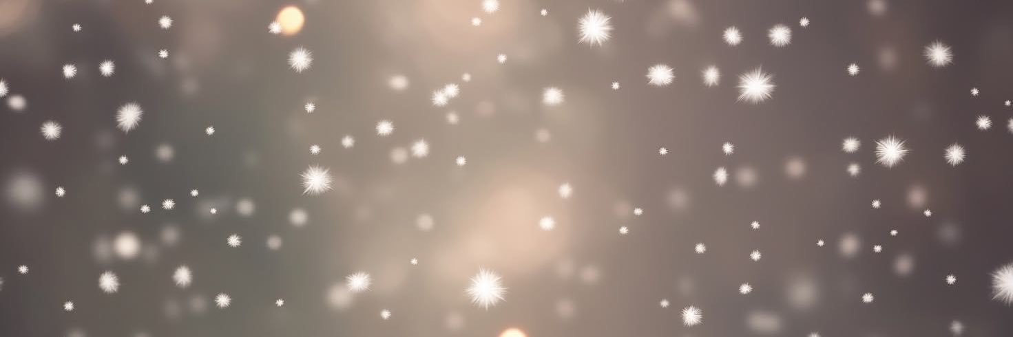 tholefederico's profile banner image
