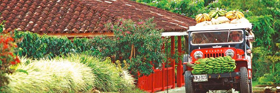 SoyQuindio's profile banner image