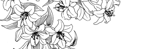 Mikeandrius's profile banner image