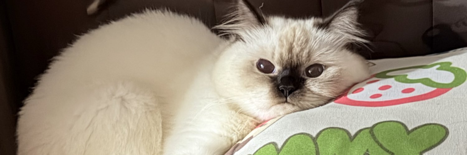 RRivanny's profile banner image