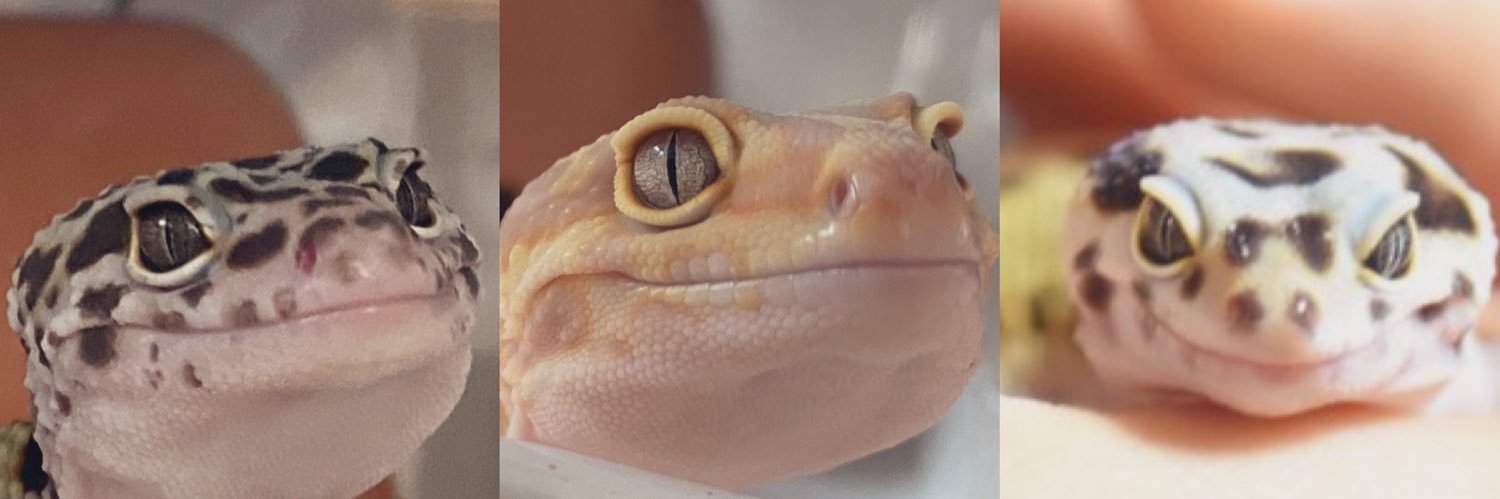 chakerapod's profile banner image