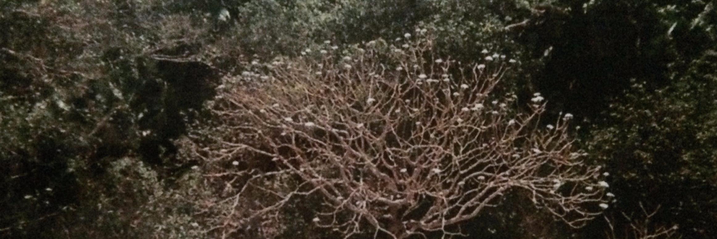 sadacid_'s profile banner image