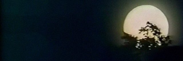 Rjawyy's profile banner image