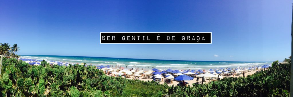 Picara Sonhadora banner