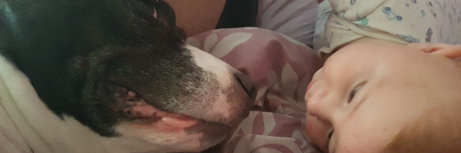 carlyfulton's profile banner image