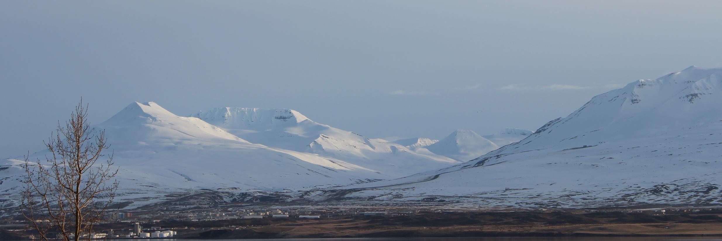 torfiolafur's profile banner image