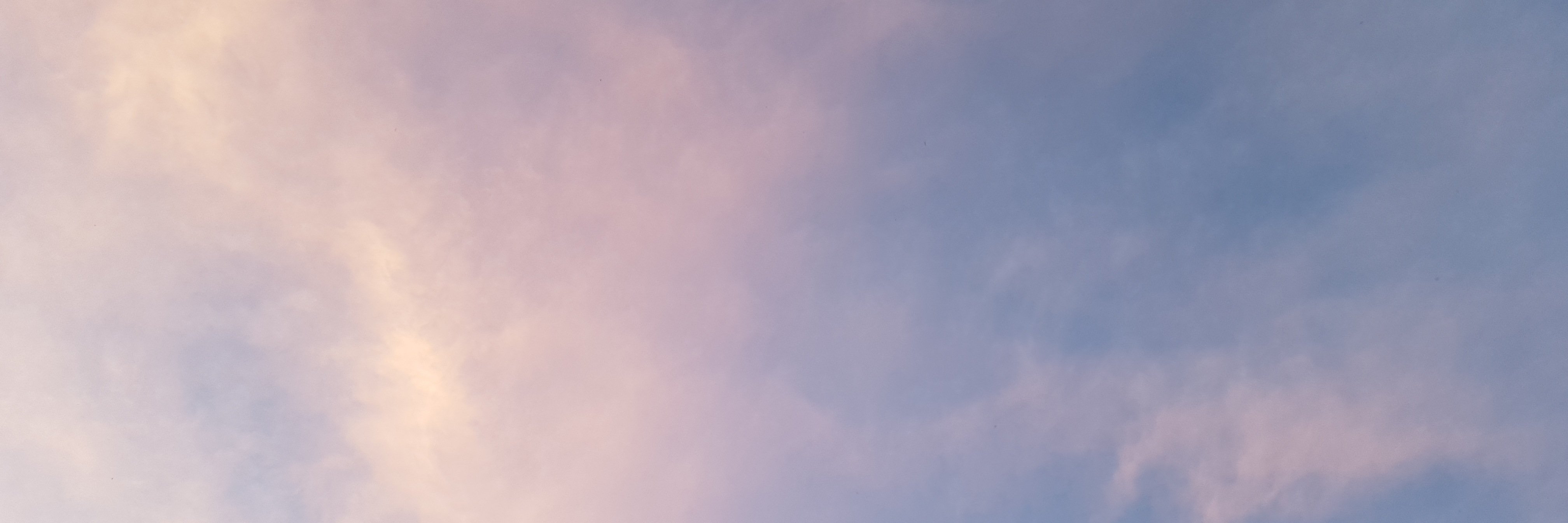 barbaramaj's profile banner image
