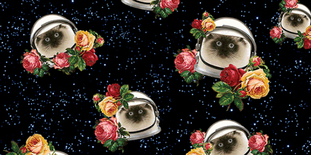 Charlotte BC. banner