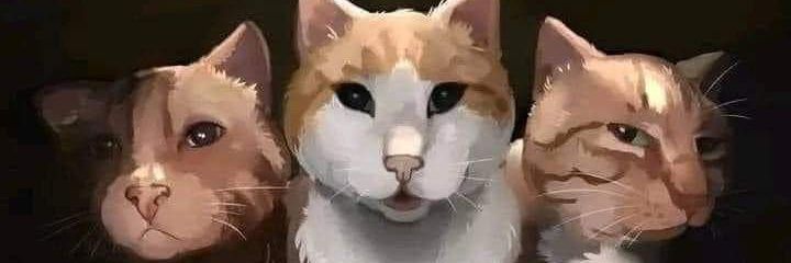 RedShiny's profile banner image