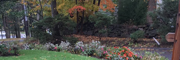 njoodkhalid's profile banner image