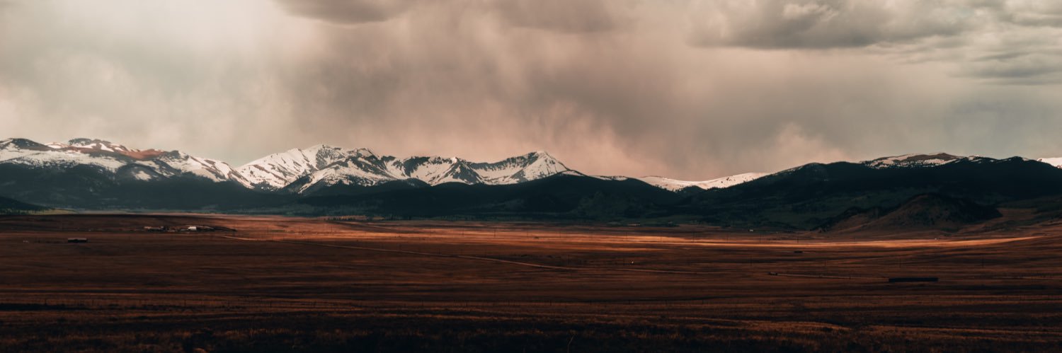 RudimentalBeard's profile banner image