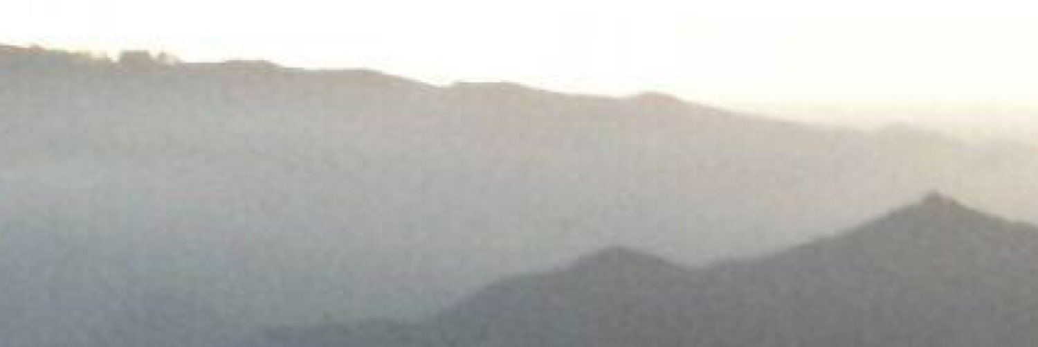 reganslwt's profile banner image
