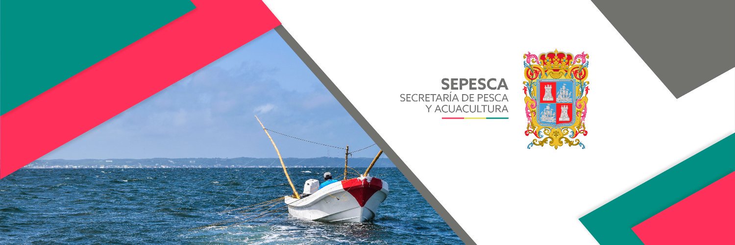 Sepesca_Camp's profile banner image