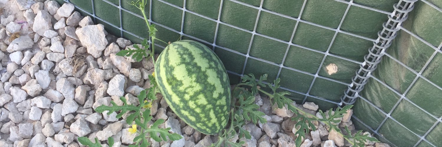 Toril Iren Pedersen banner