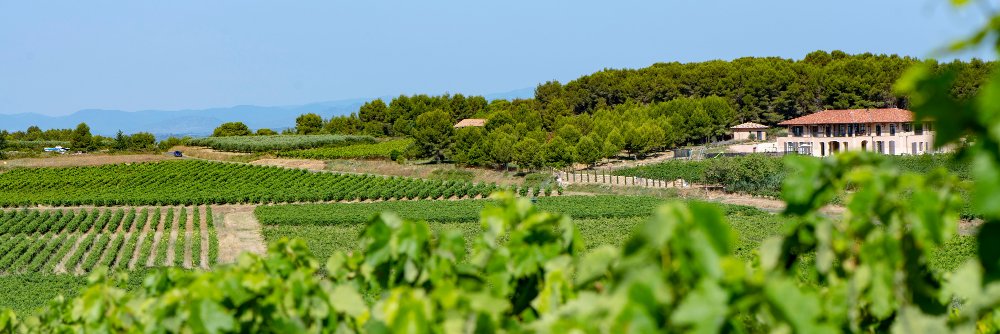 Domaines Paul Mas banner