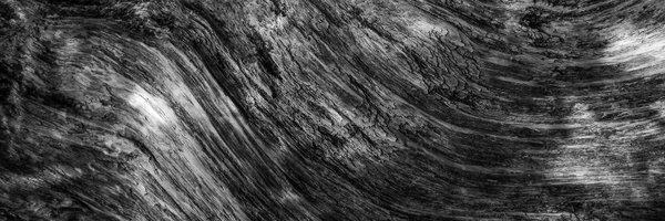 nigeca Profile Banner