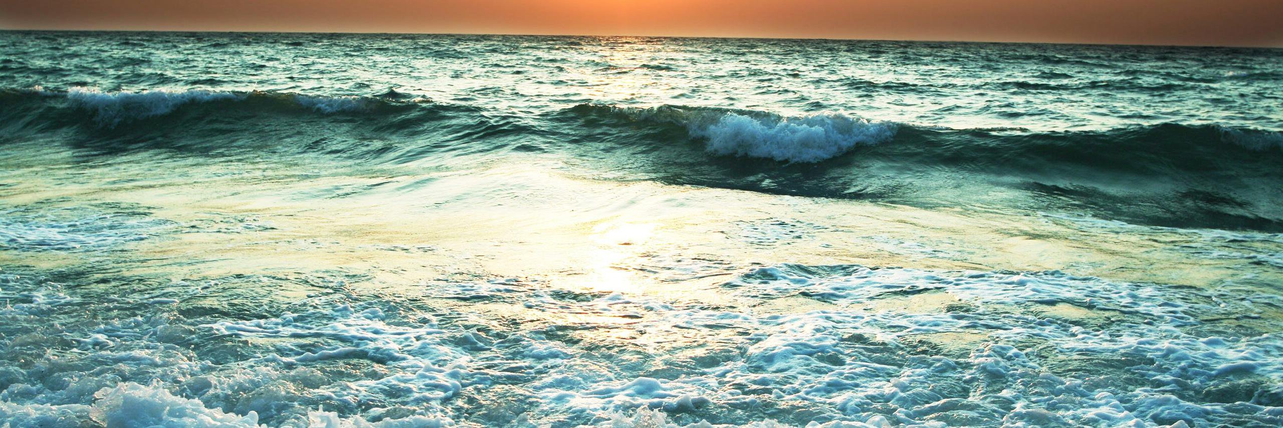 Seasyne's profile banner image