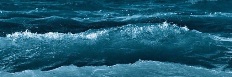 ʕ•ᴥ•ʔ banner