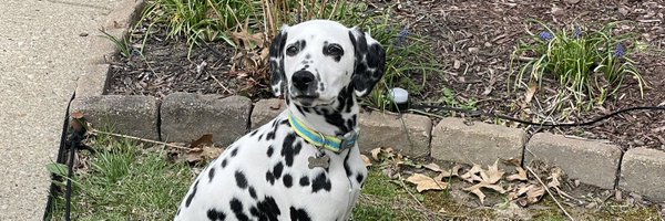 holhud76 Profile Banner