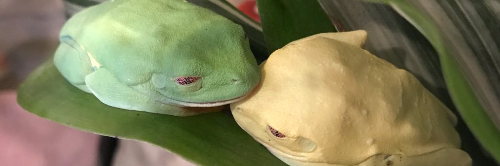 Kemp_Nasty's profile banner image