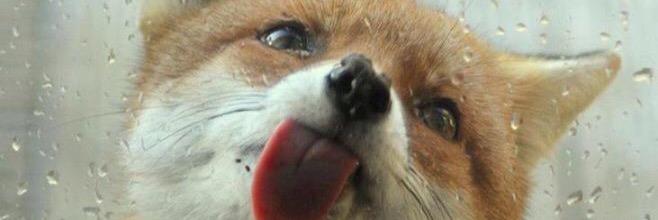 Sandra_dpc's profile banner image