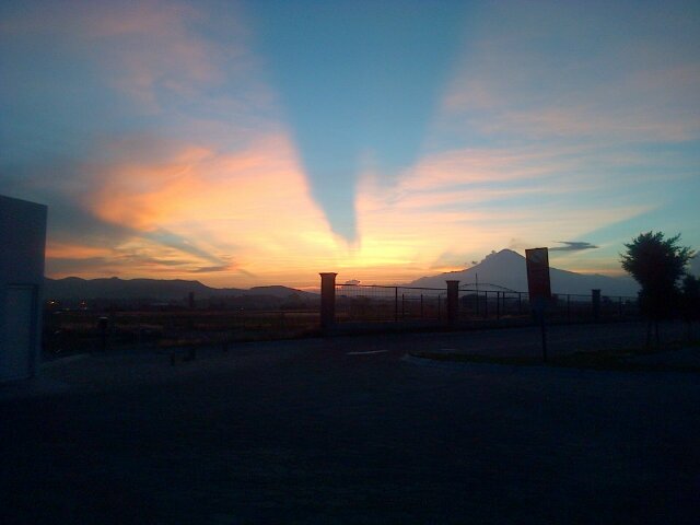 malinalli garcía banner