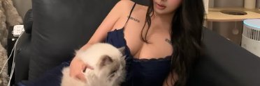 shoebkadar's profile banner image