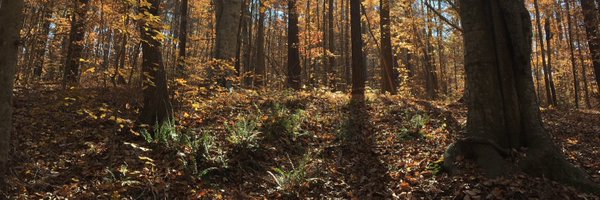 yethathne Profile Banner