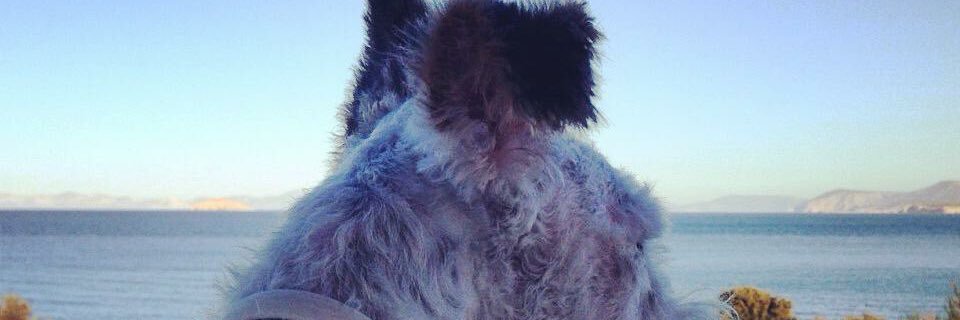 zaf26dim's profile banner image