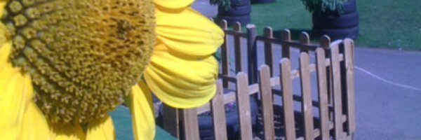 PenllergaerP Profile Banner