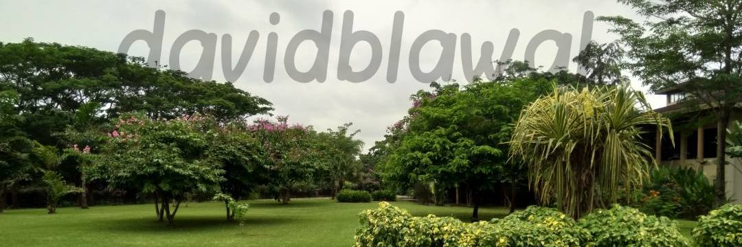 davidblawal's profile banner image