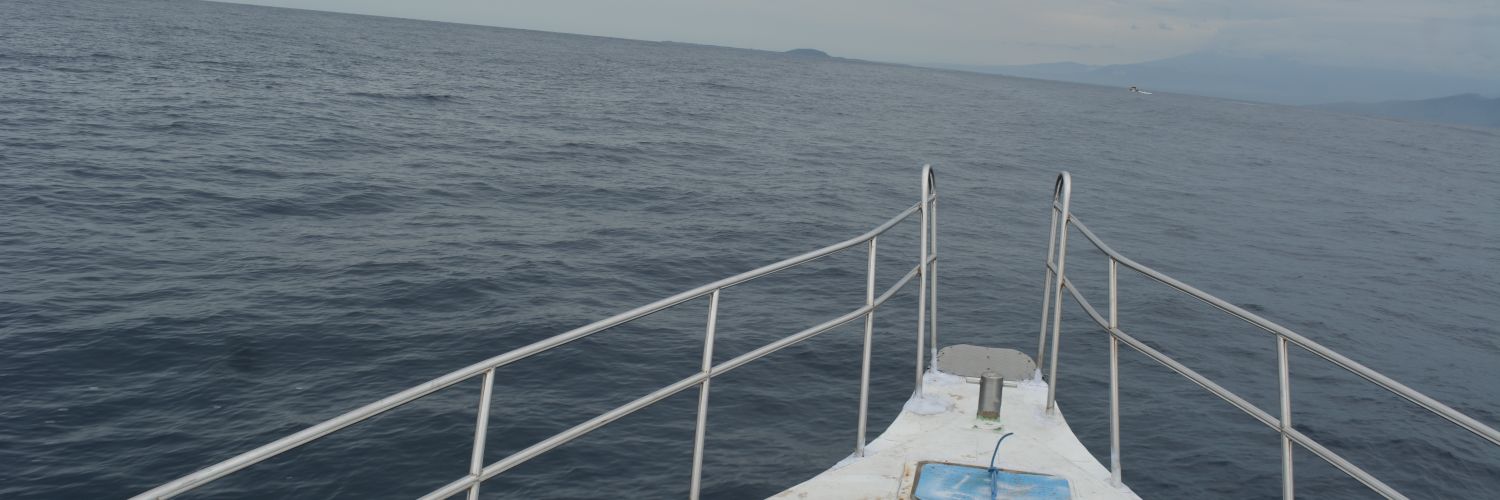 tusarkp's profile banner image