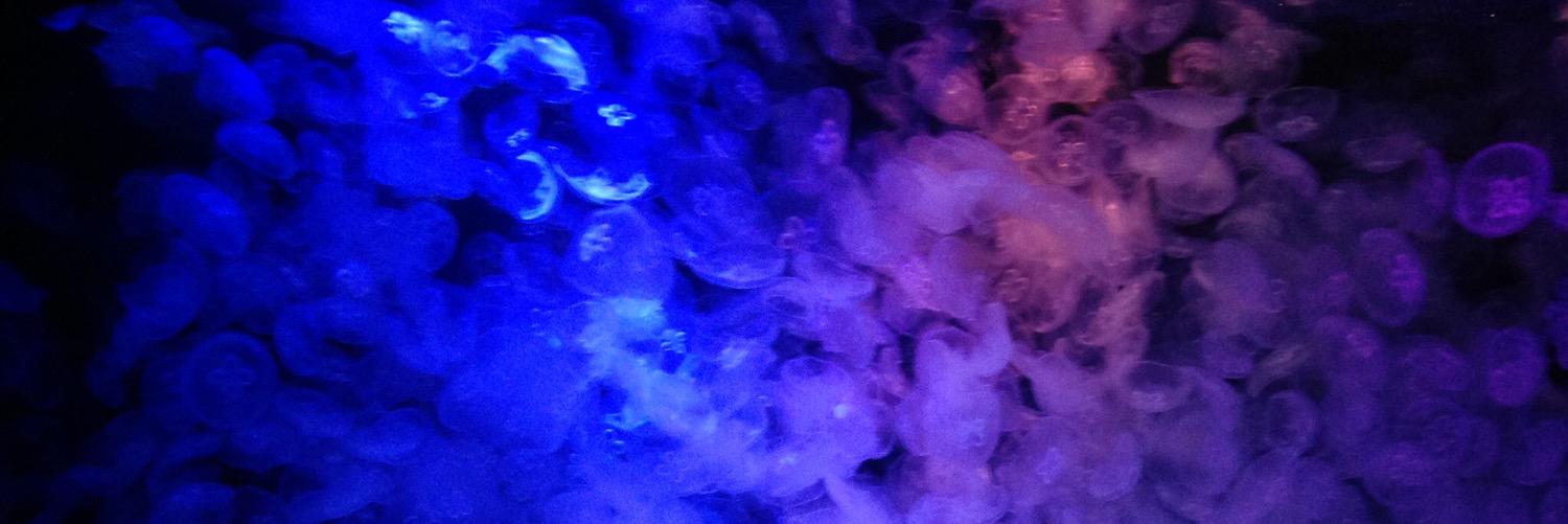 J5Placeboooon's profile banner image