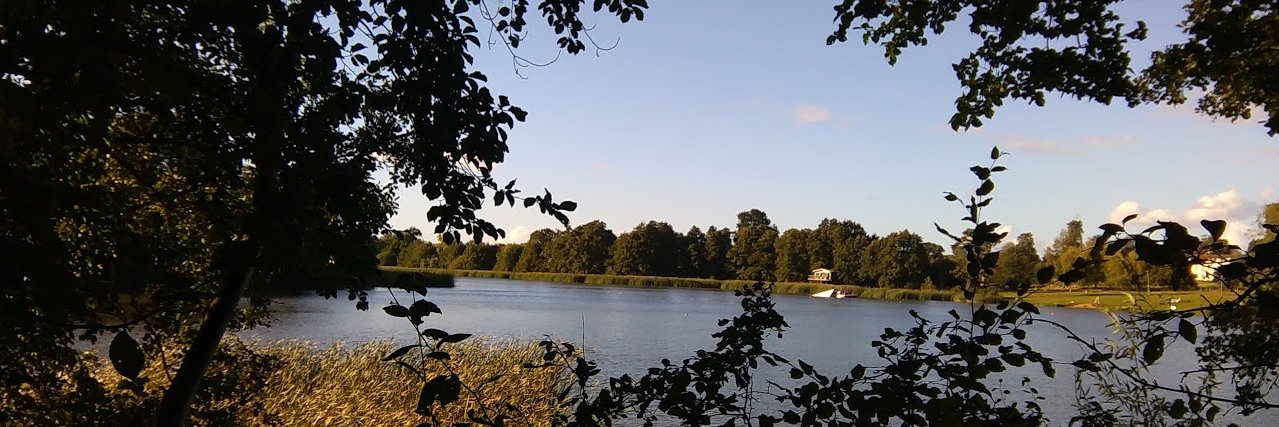 Eileen Penn 🍃💚🍃 #NatureInMyBackYard banner