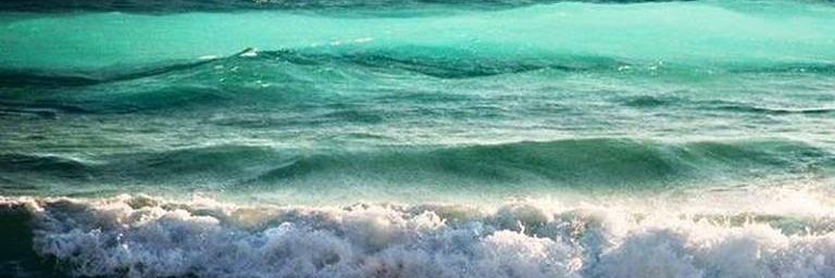 Fournevay's profile banner image