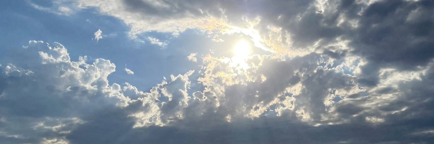 SallyW_'s profile banner image