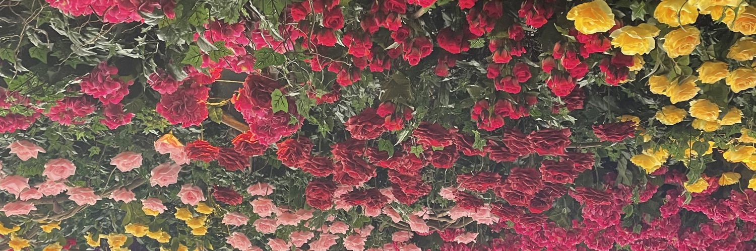 Lynn_Keith's profile banner image