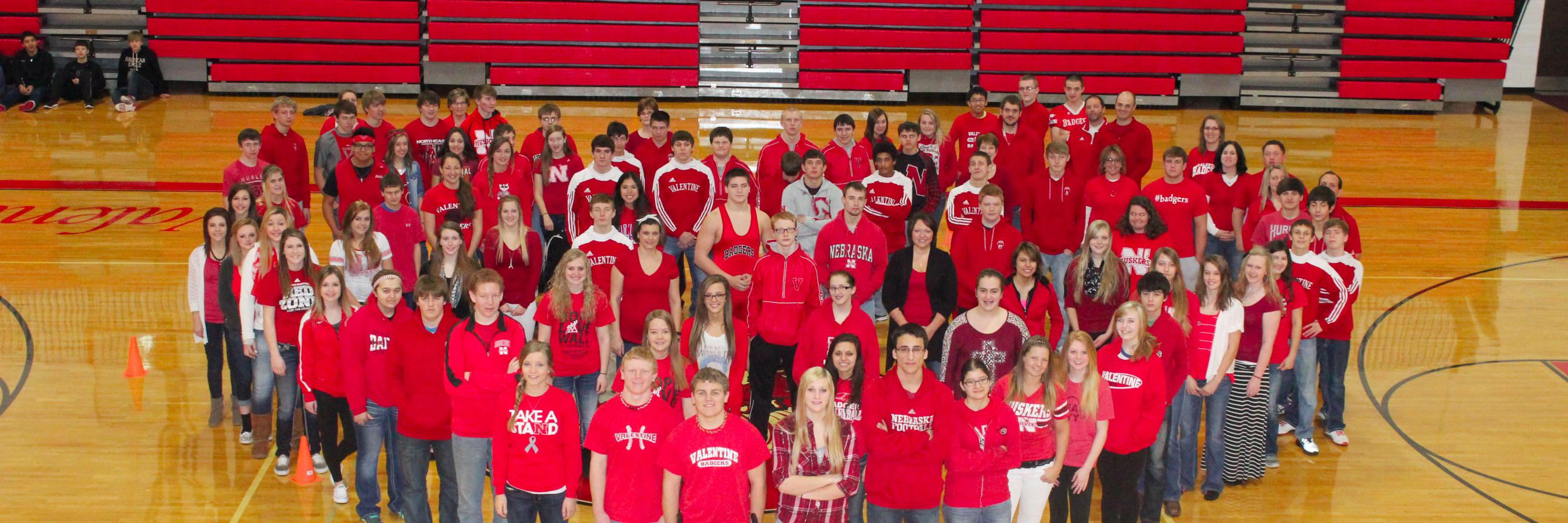 ValentineBadgers banner