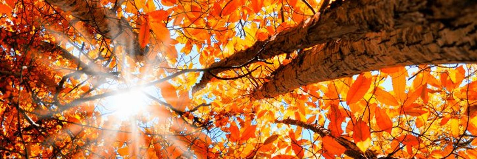 jmartine0126's profile banner image