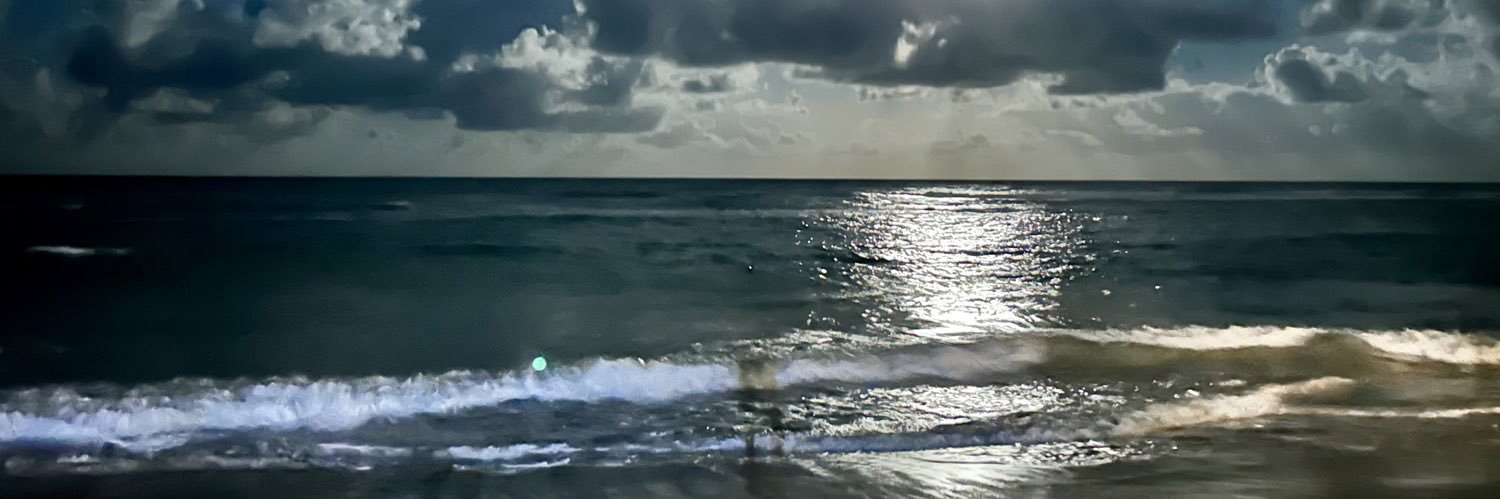 slstrilchuk's profile banner image