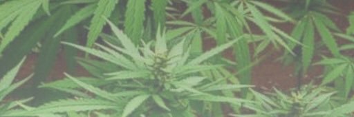 marietaylor56's profile banner image